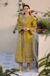 LAAM 4616 Embroidered with Print Shawl