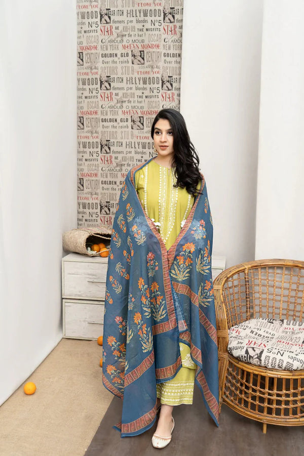 DHANAK WOOL EMBROIDERED 3 PIECE